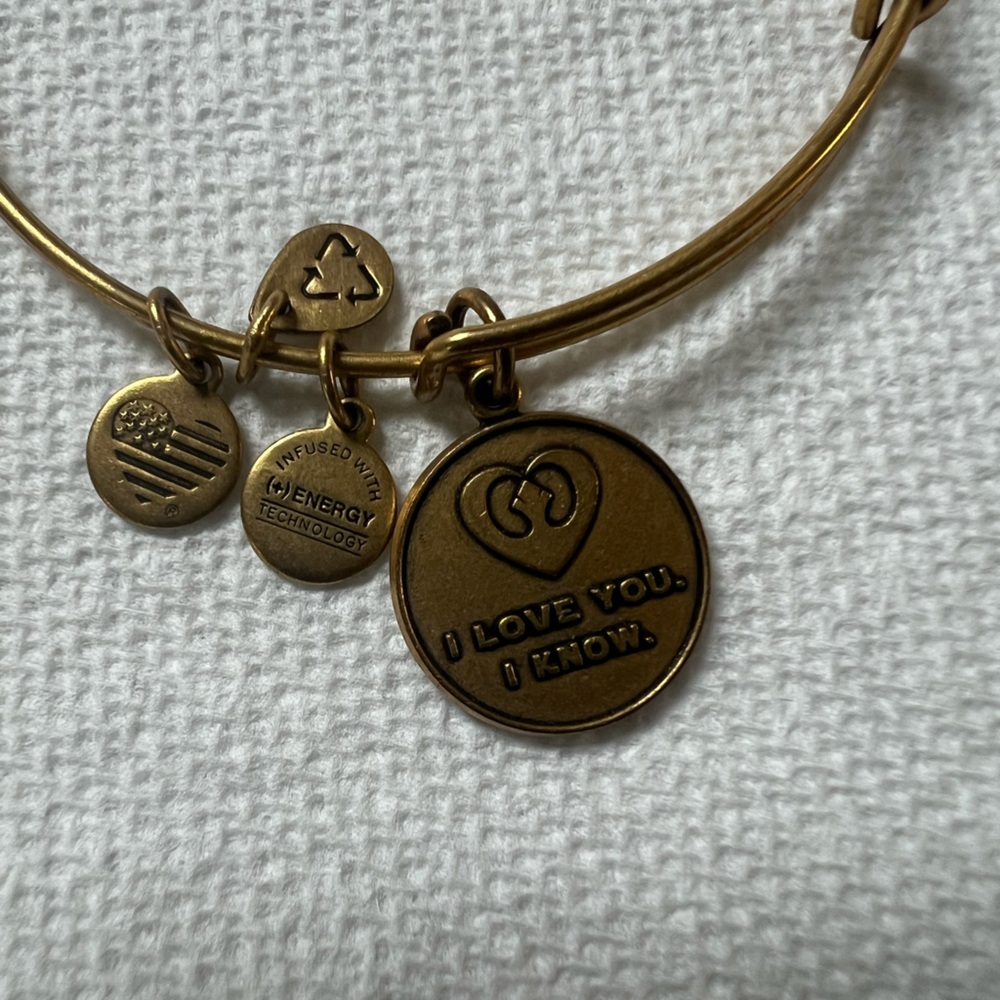 Alex and Ani Star Wars Charm Bangle